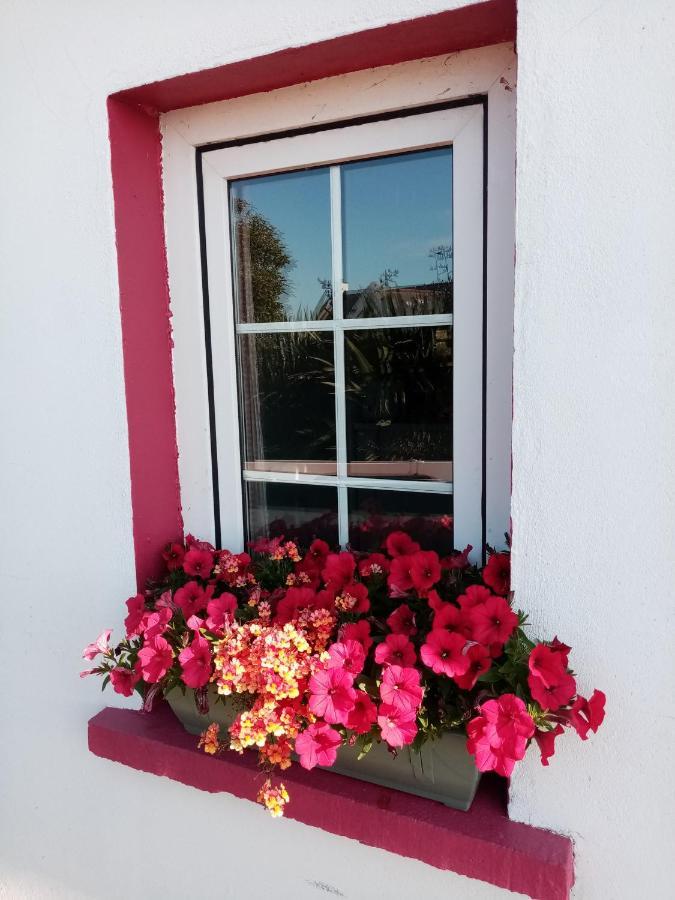 B&B The Red Door Cottage Донегол Экстерьер фото